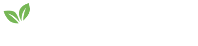Casa Fresh